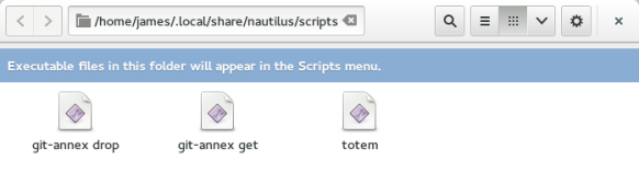 nautilus is pretty smart and lets you know that this folder is special